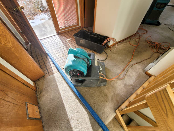 Best Commercial Water Damage Restoration in Avon, MN