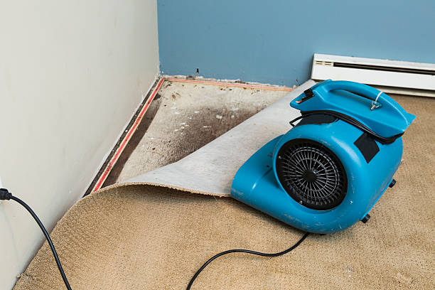 Best Basement Water Damage Restoration in Avon, MN